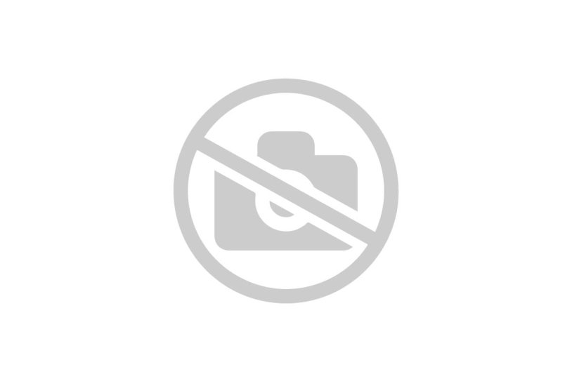 Too Hot to Handle series nonfliks