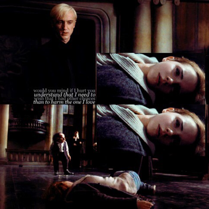 Draco and Hermione Platinum and Chocolate