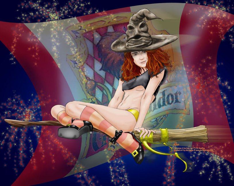 Von Harry Potter plaid