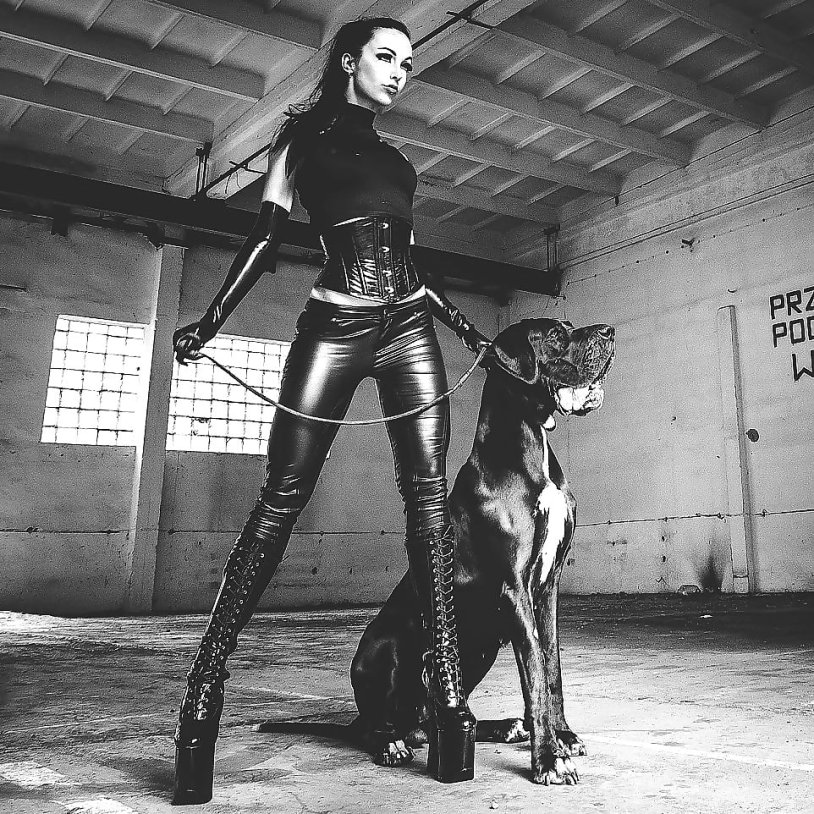 Leather Dominastiapon