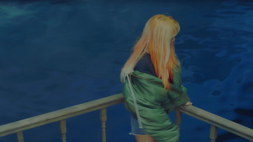 Black Pink Fox and Jenny