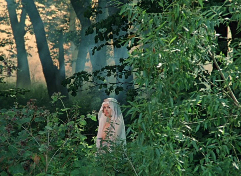 Elena Valyushkina Formula of Love in the Forest