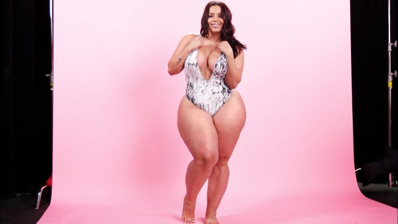 Coniferous forest silhouette