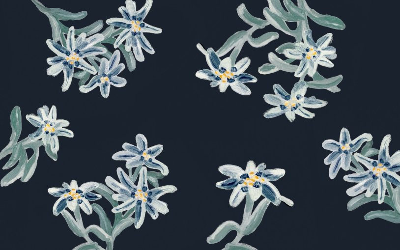 Erotic photos on your desktop