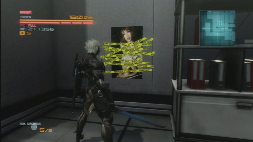 Raiden Metal Gear Riding