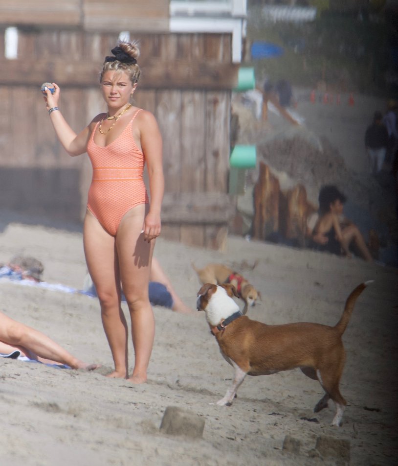 Florence pugh in a swimsuit