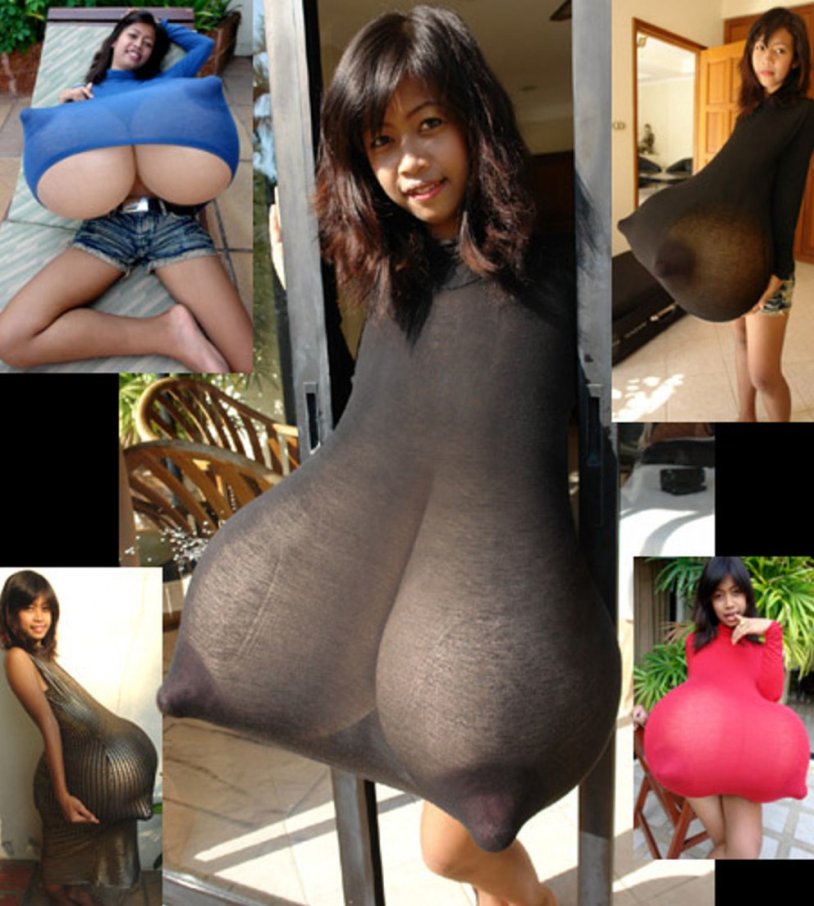 Chinese Ting Hiafen 2020