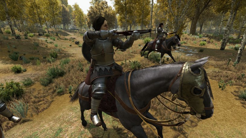 Witcher 2 Geralt and Sukkub