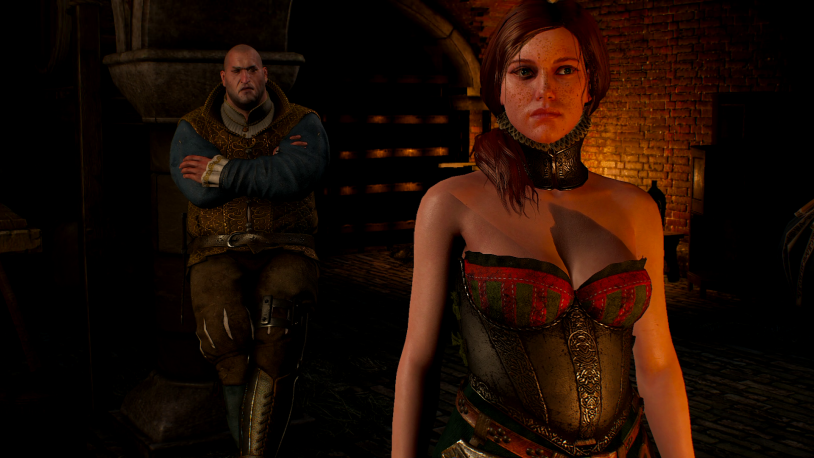 Witcher Triss chest