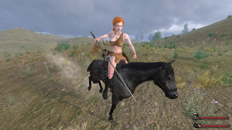 Witcher 3 Horse
