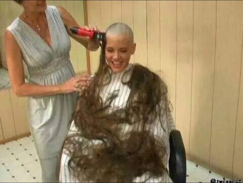 Shaved Head Gallica