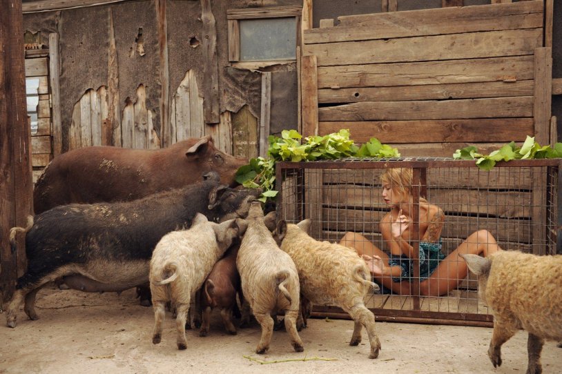 Anastasia Panteleeva Lily C Raisa Natalia