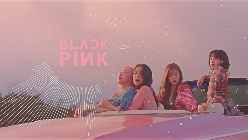 Rose Black Pink On the Ground