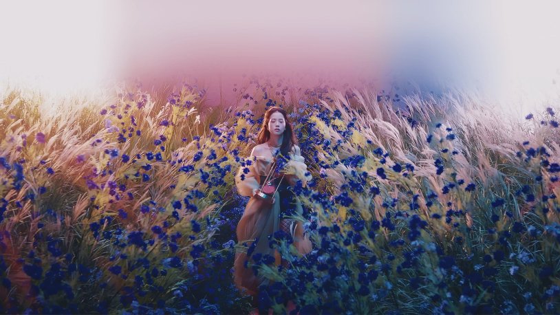 Rosa aesthetics on the Ground