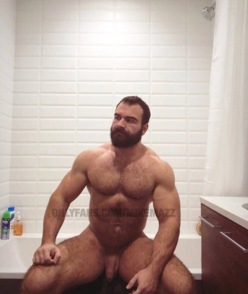 BPW 295x430 shock absorber