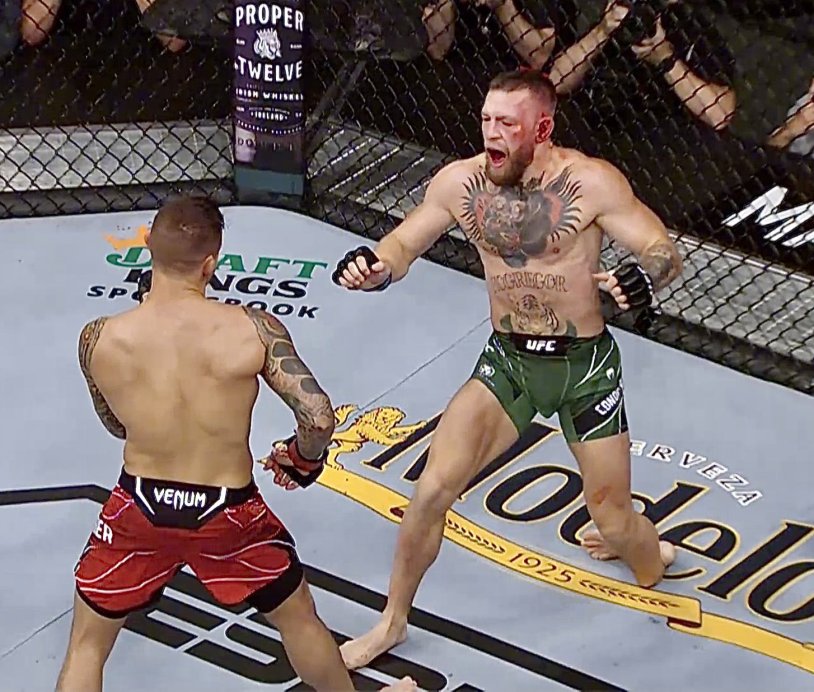 McGregor in a T -shirt Alkashka