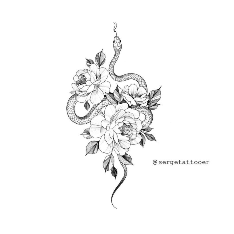 Cobra series Kai Hawk