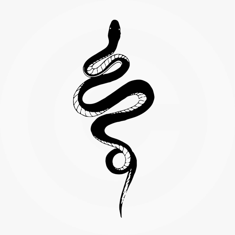 Snake for tattoo