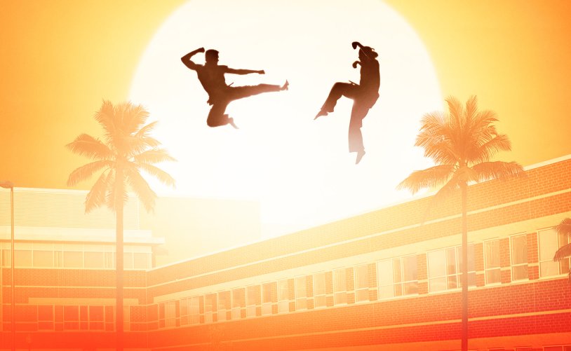 Cobra kai the karate kid saga continues