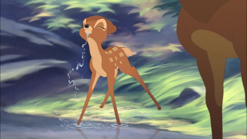 Walt Disney Bambi Rnno