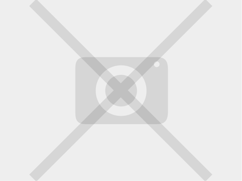 MSI 865GVM2-LS motherboard