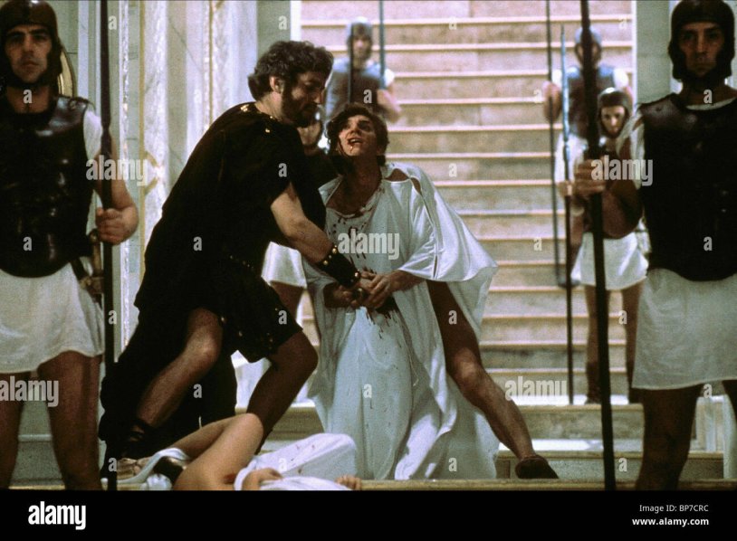 Notes Tinto Brassa 2011