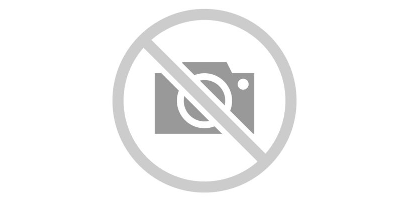 Fallen Angel model webcams