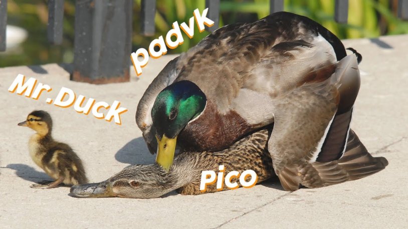 Erotic poems for a beloved man