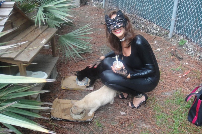 Cheeds and Incels Staisi