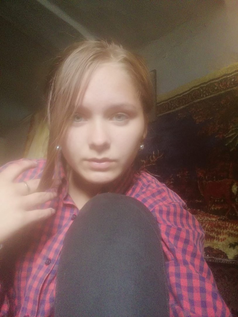 Cat silhouette in a circle