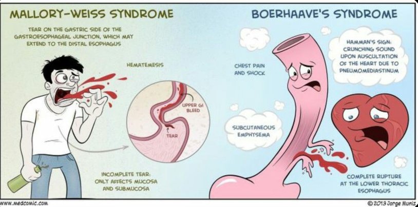 Hydrology Glenn Morrison