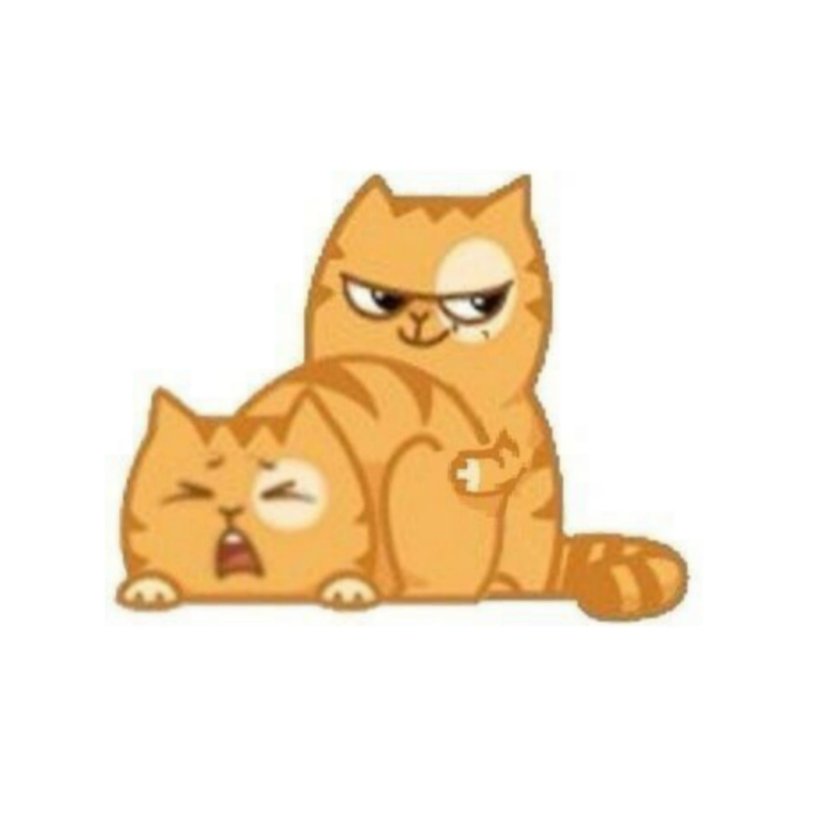 Intimate relationship film