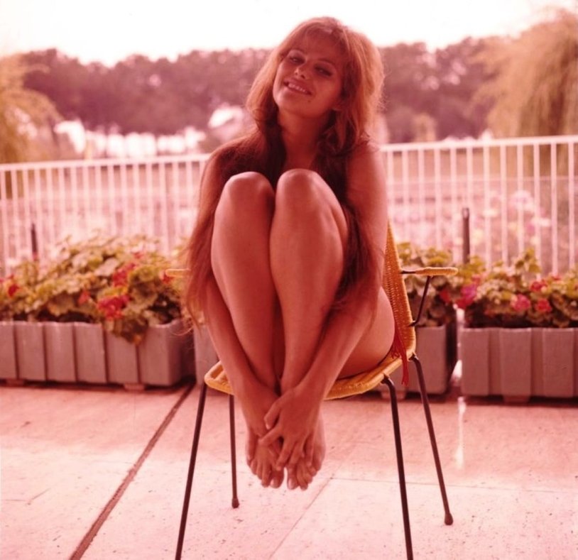 Claudia Cardinal in a swimsuit