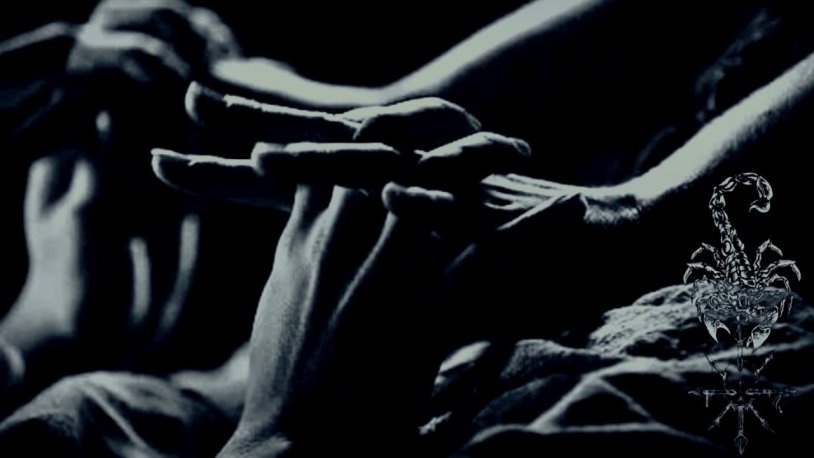 Beautiful brunette in two trunks