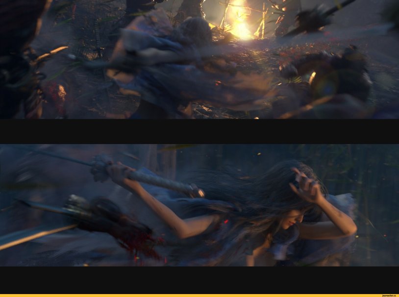 Lan Zhang and Jiang Cheng