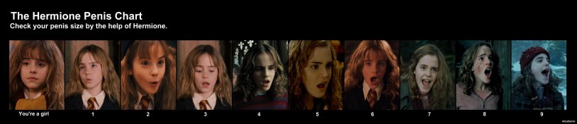 Harry Potter Hermione Granger