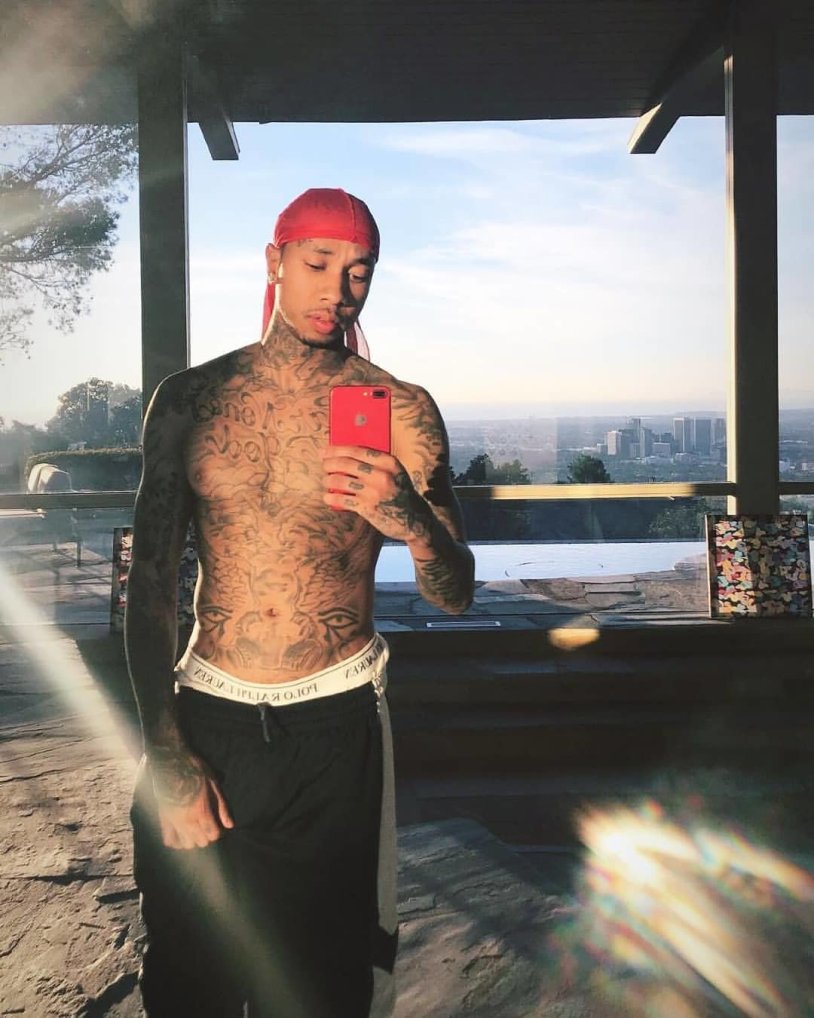 Tits of Siberian mice