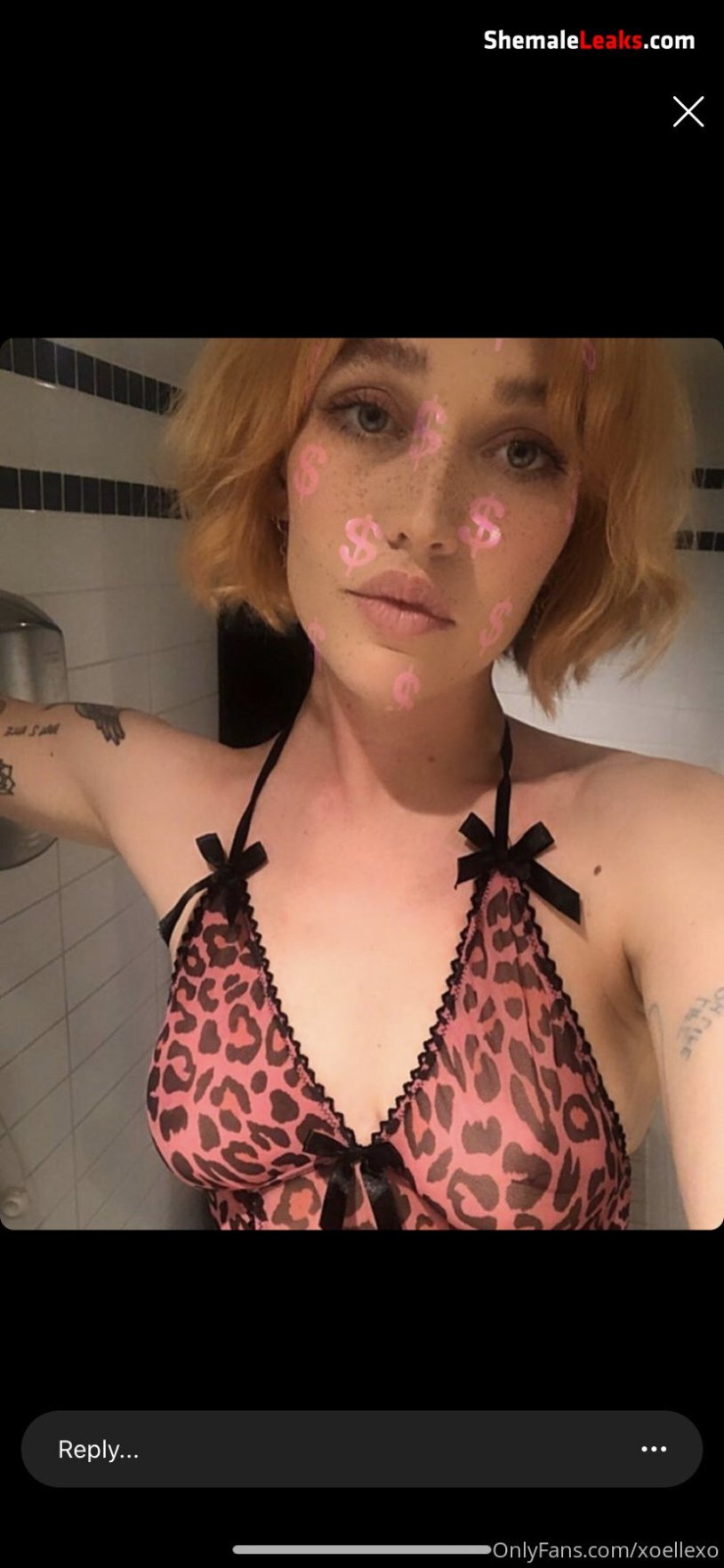 Trans model Xoellexo