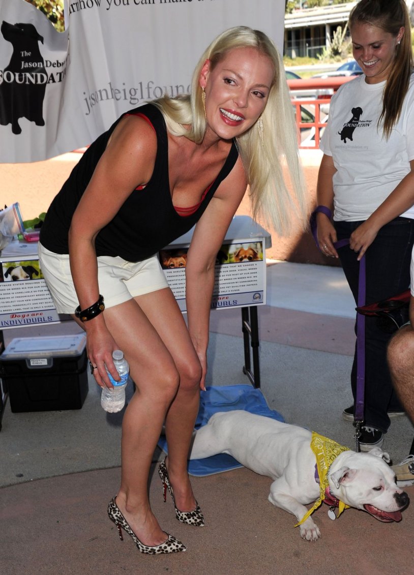 Katherine Heigl in Lower Lingerie