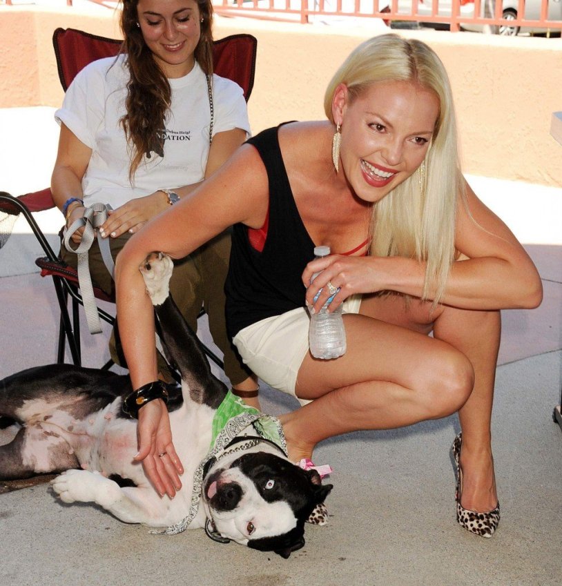 Katherine Heigl Strip