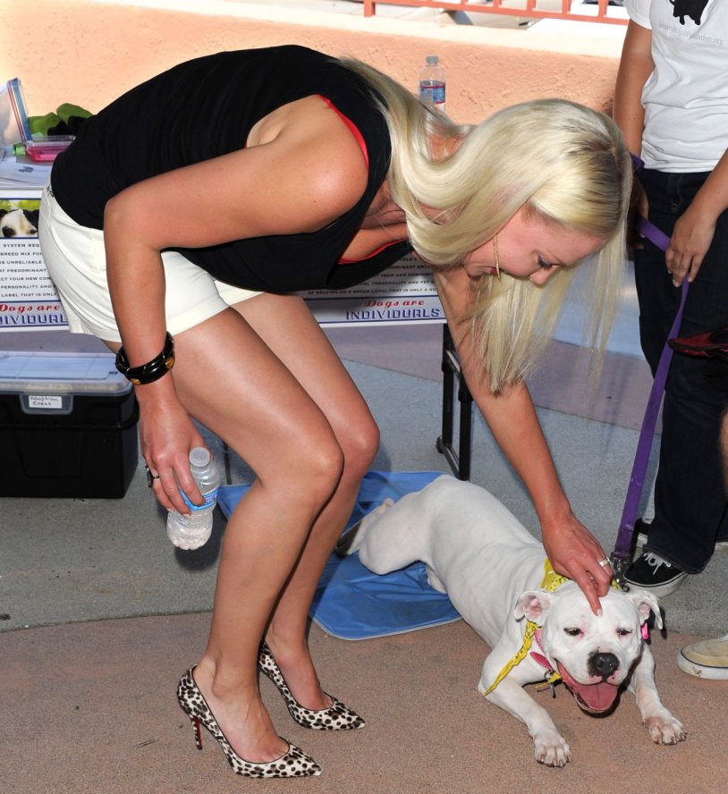 Katherine Heigl Hot Killers