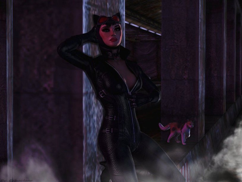 Batman Arkham City Woman Cat