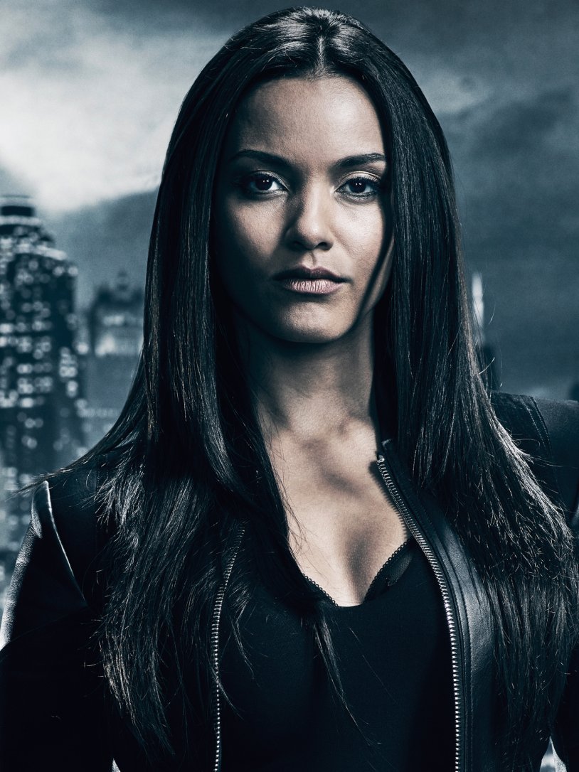 Black Canary DC Birds