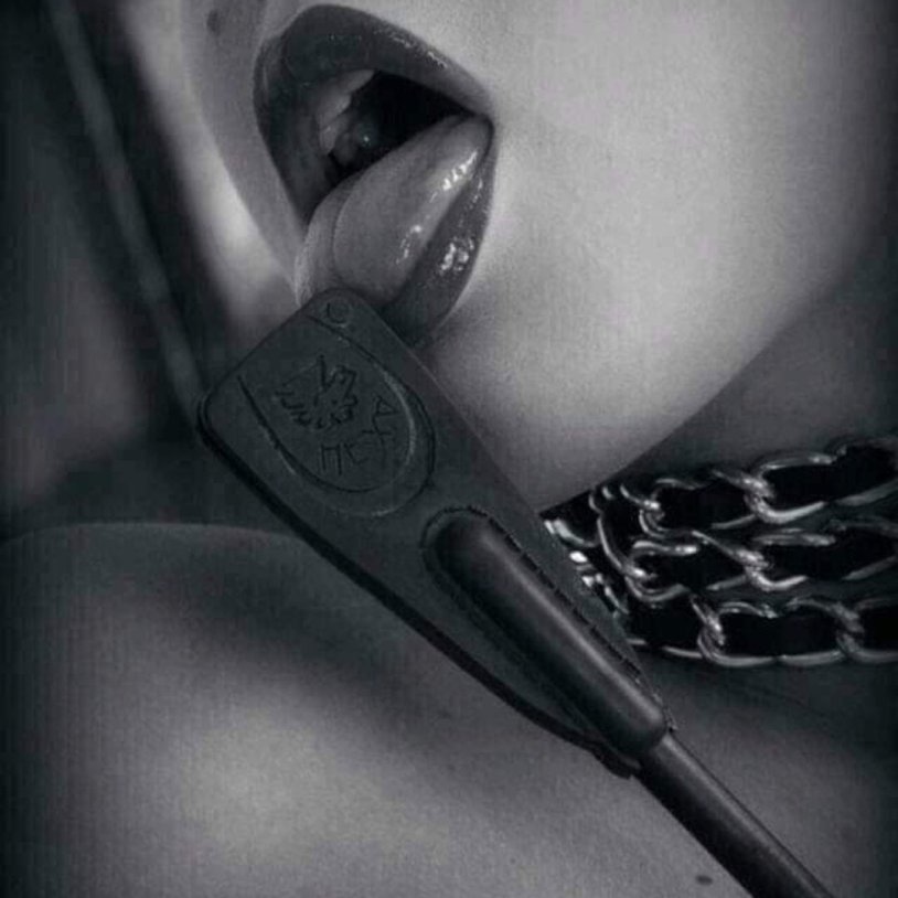 Jasmine Sinclair on a leash