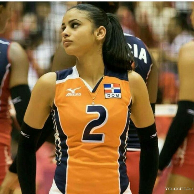 Fernandez Perez volleyball player