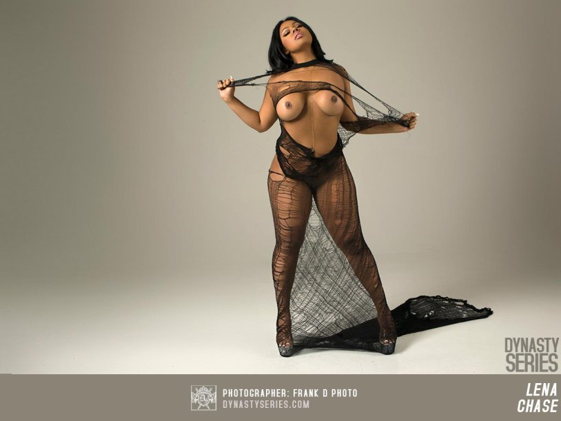 Mrguerra Dynastyseries