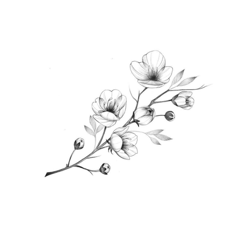 Monica Bellucci Matrix Reboot