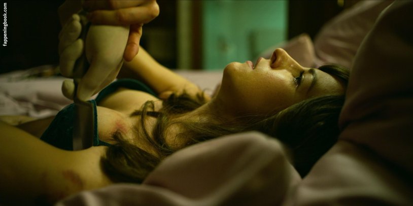 Amanda Seyfrid hackers 2017