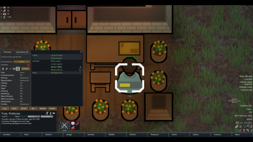 Rimworld Rimjobworld