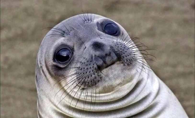 Niparat Konyai (Mika)